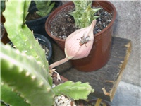 23d2833d-Picture 6384.jpg